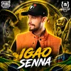 igaosenna