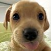 sarai.hnez