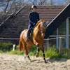 eileen.kr1