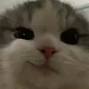 anjana_natalie