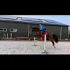 heleenntjee