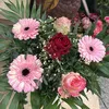 loujeen_bln