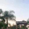 leticia_scheidt