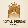 ROYAL PERSAS CDMX