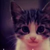 meggymeeow