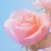 canddiiaa62