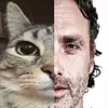 gatopretopage