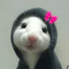 mlpsr