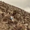 mcjaramillo_