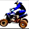 tavinracer4