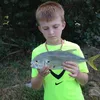 dylan_frates