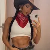 gipsyfit