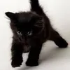 cool_usern4me