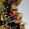 roxy_houghton