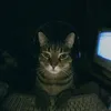 rickyzxd