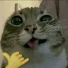 wah0003