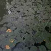 kindofloving