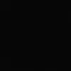 roza_1580