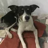 rafaela14.4