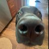 madison_larue25
