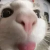 badmilkshake1