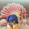 lilyyyyyyyyyyyyyyy