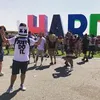 dmiguel_87