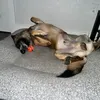rosky