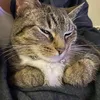 socksfullofbutter