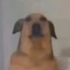 sayoooka