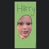 harrydunn1204