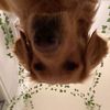 user_180405