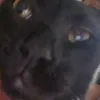 jtrieuxx