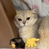 thuhng35