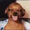 _zegggg