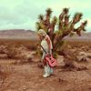 southern_utah_blonde