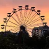 adaiasashvili1111