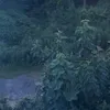 georgieonthemove