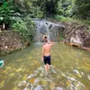 araujo.n1