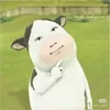 queennevercryyyyy