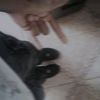 daily_da_ruth