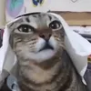 g3r0n1m0_