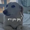 kkoreedood
