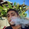 _vinicius_sobral_