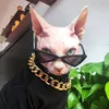 macharetee