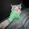 _sofiaaaahhh