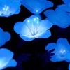 westisblue
