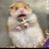 susi._.azucena