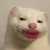 _hhhhhttttt