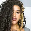 Larissa dsl